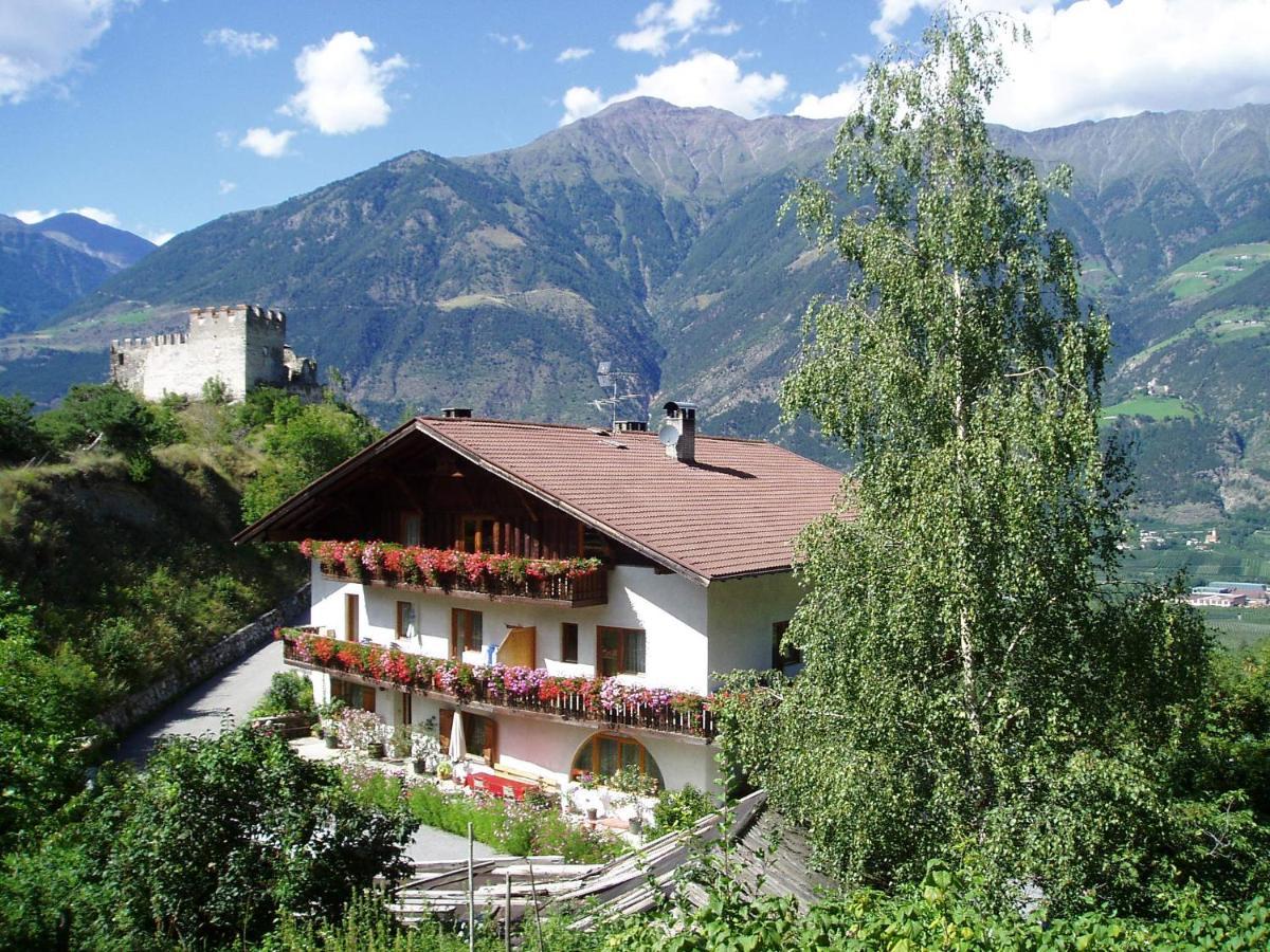 Schlosshof Zu Montani Morter エクステリア 写真