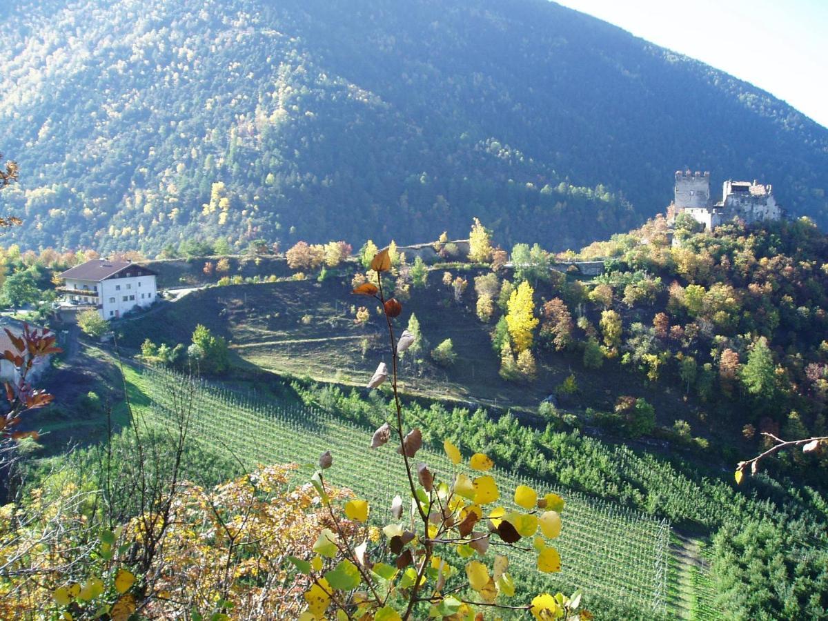 Schlosshof Zu Montani Morter エクステリア 写真