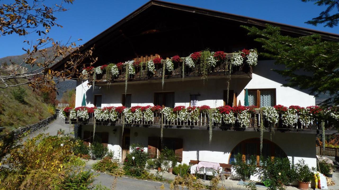 Schlosshof Zu Montani Morter エクステリア 写真